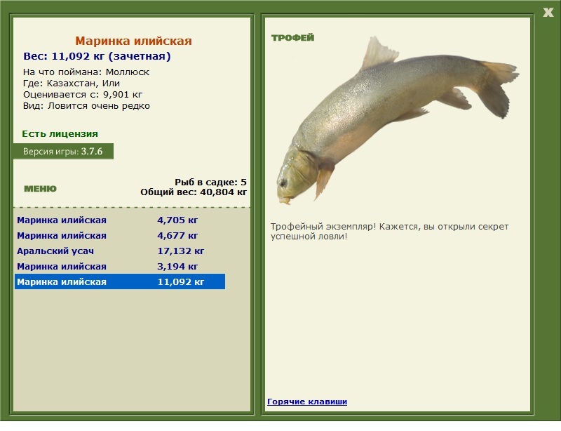 Маринка илийская 