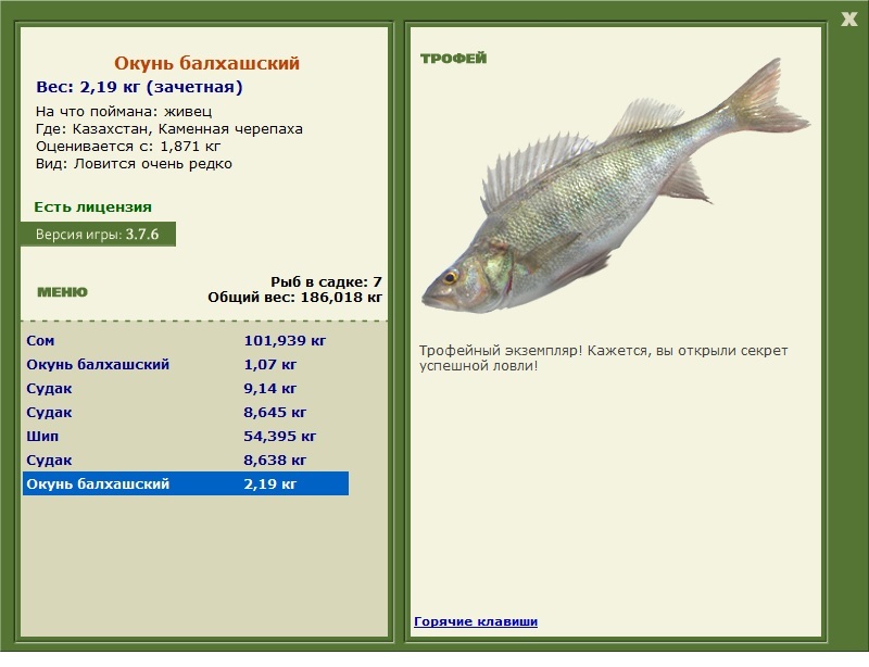 Окунь балхашский 
