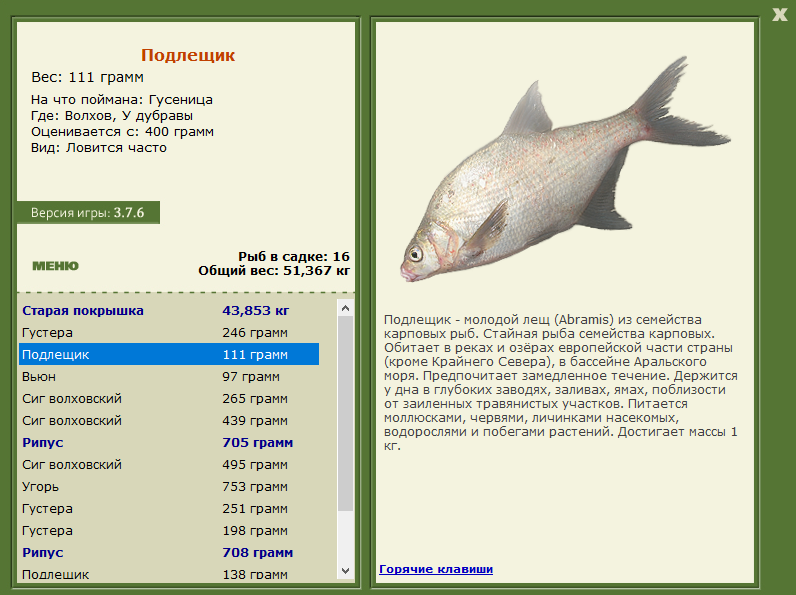 турниры • РУССКАЯ РЫБАЛКА