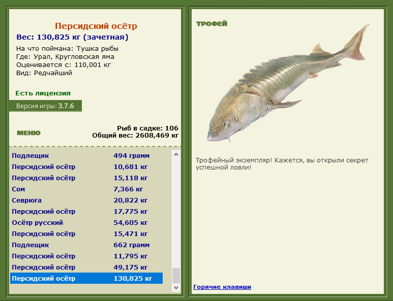 Персидский осётр 