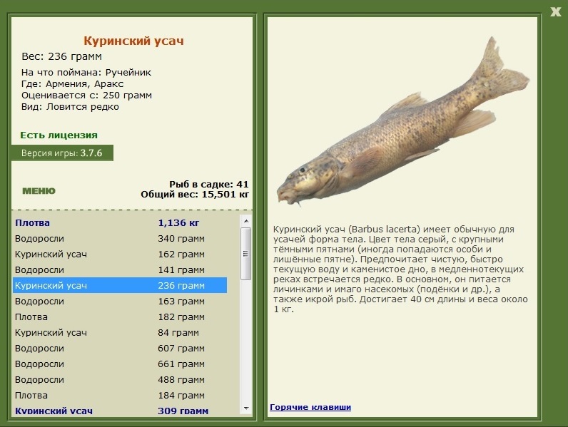 турниры • РУССКАЯ РЫБАЛКА
