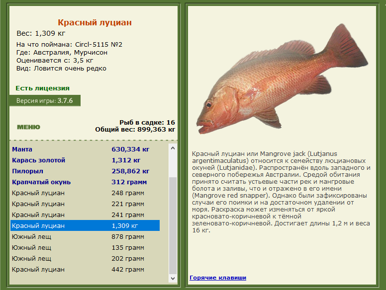 РУССКАЯ РЫБАЛКА Installsoft Edition 