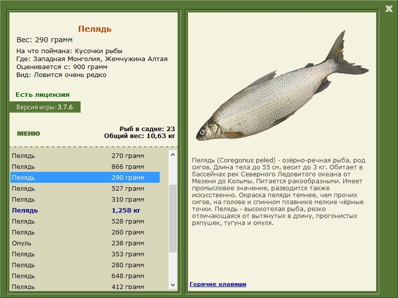 турниры • РУССКАЯ РЫБАЛКА