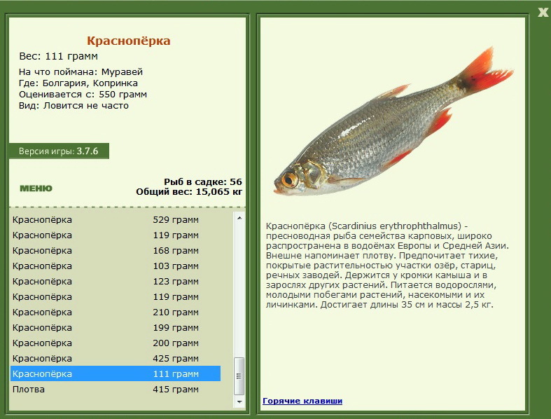 турниры • РУССКАЯ РЫБАЛКА
