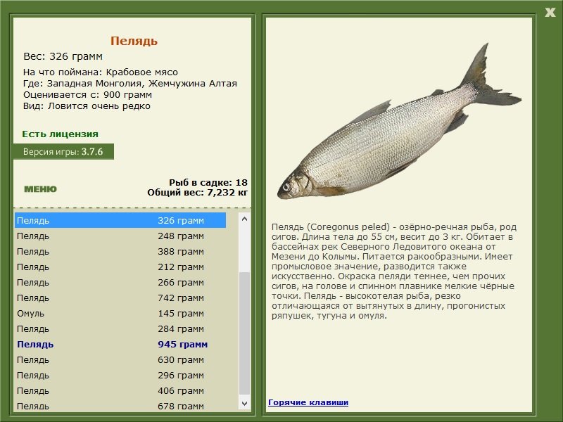 турниры • РУССКАЯ РЫБАЛКА