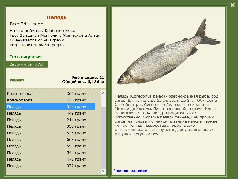 турниры • РУССКАЯ РЫБАЛКА