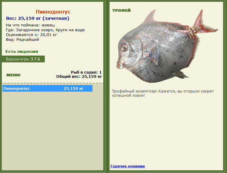 турниры • РУССКАЯ РЫБАЛКА