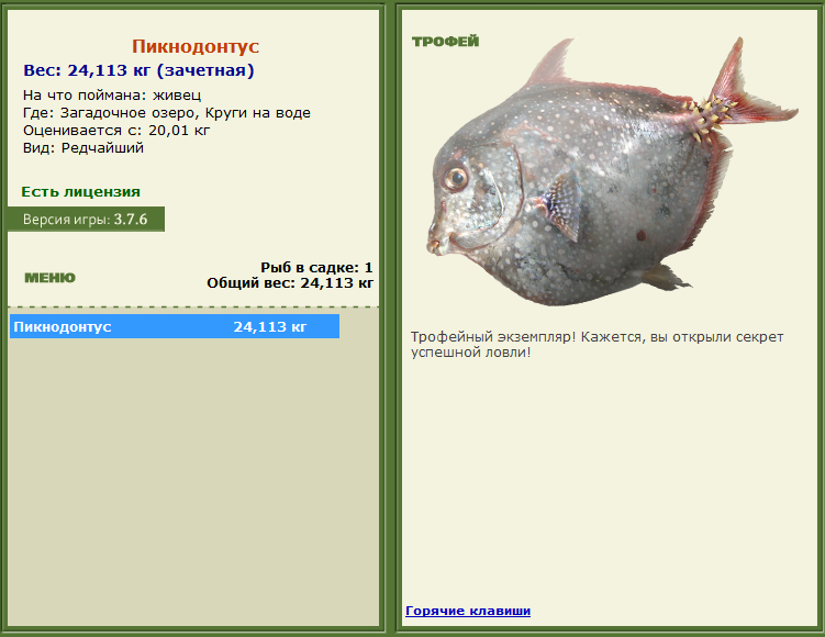 турниры • РУССКАЯ РЫБАЛКА