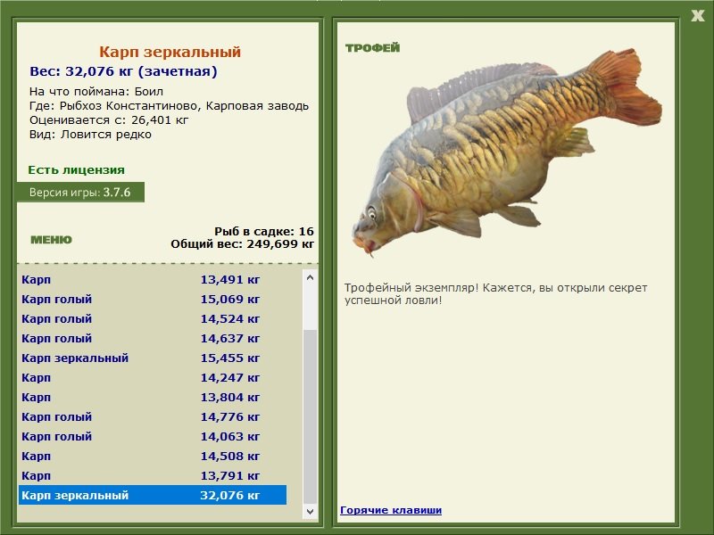 Карп зеркальный 