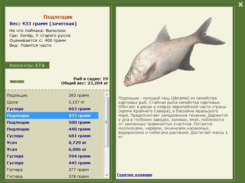 турниры • РУССКАЯ РЫБАЛКА