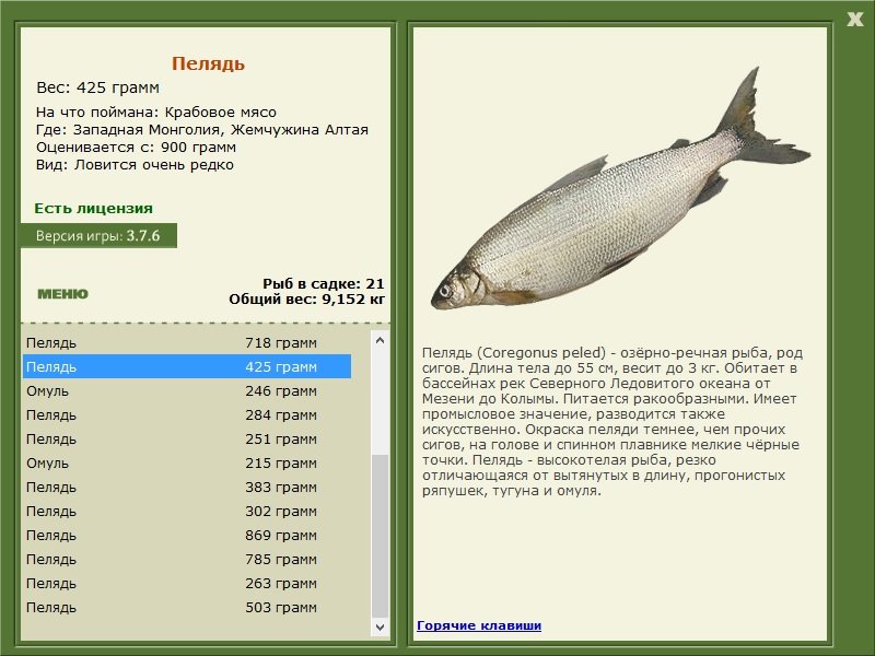 турниры • РУССКАЯ РЫБАЛКА