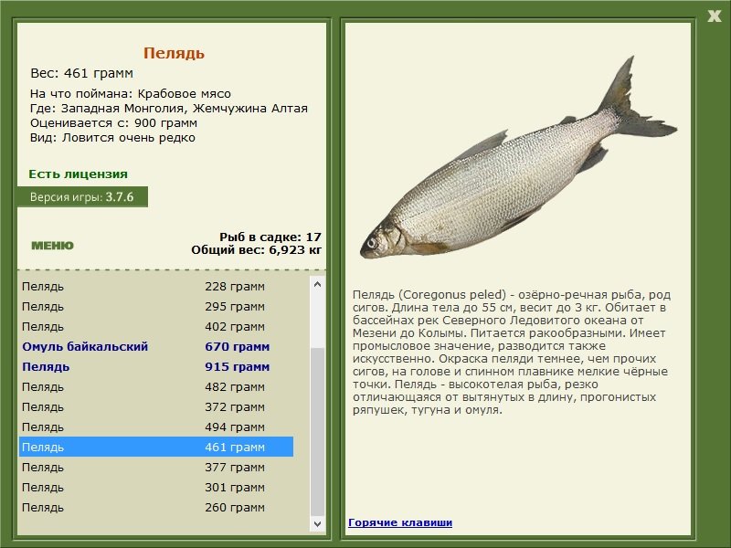 турниры • РУССКАЯ РЫБАЛКА