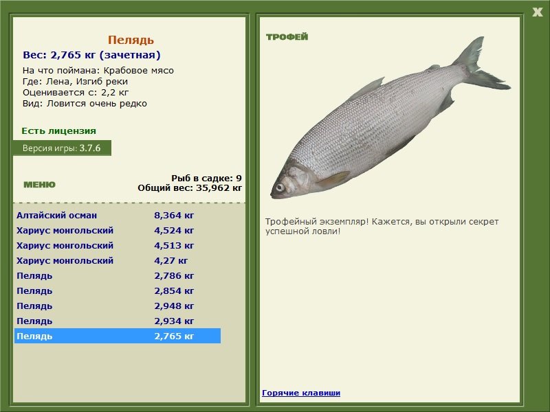Изгиб реки 