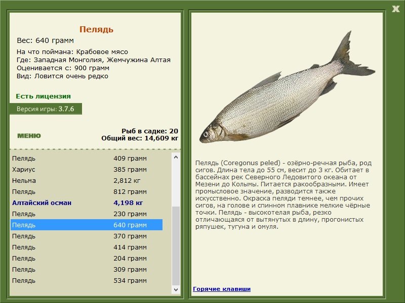 турниры • РУССКАЯ РЫБАЛКА