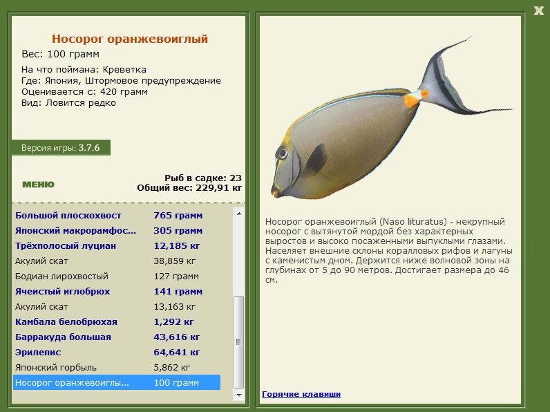 турниры • РУССКАЯ РЫБАЛКА