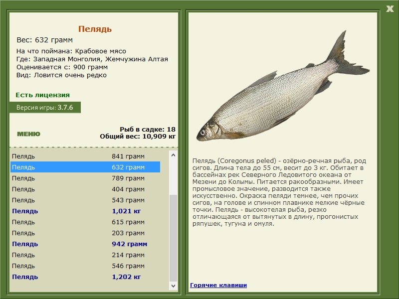 турниры • РУССКАЯ РЫБАЛКА