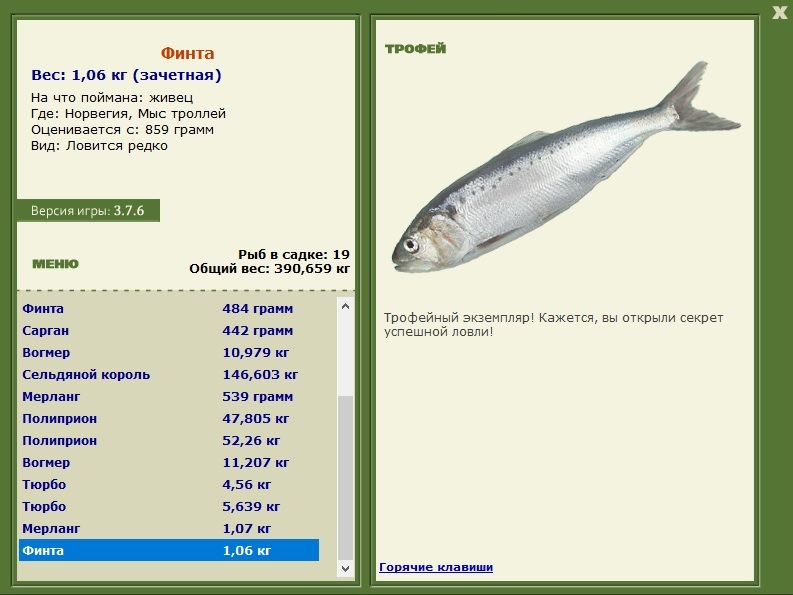 Финта 