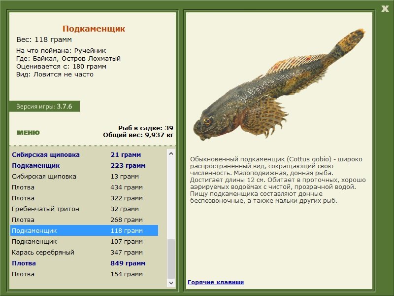 турниры • РУССКАЯ РЫБАЛКА