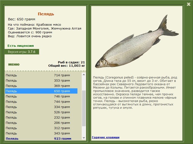 турниры • РУССКАЯ РЫБАЛКА