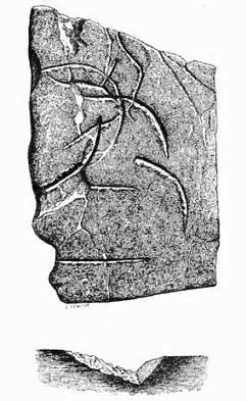  историко-политический форум • Просмотр темы - Запретная археология