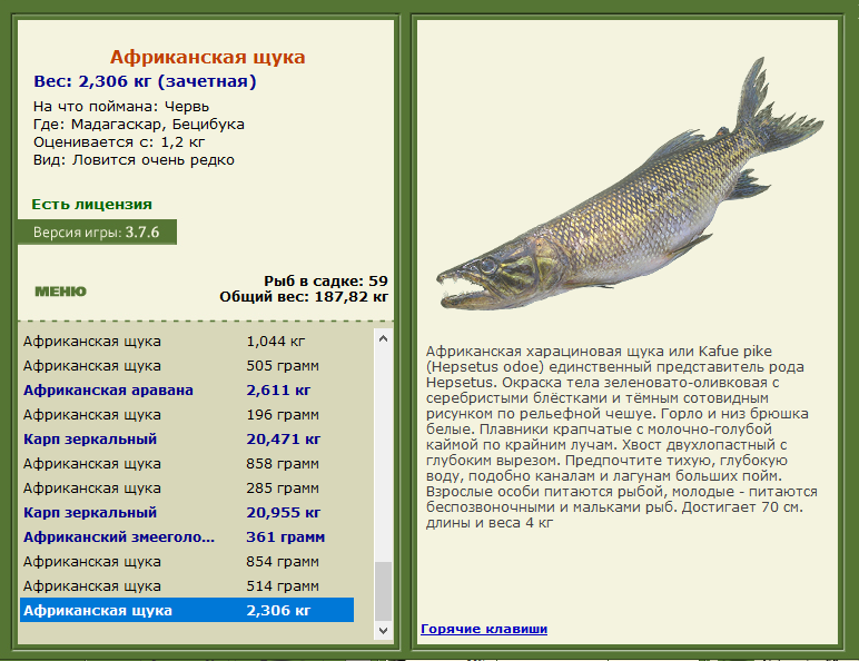 турниры • РУССКАЯ РЫБАЛКА