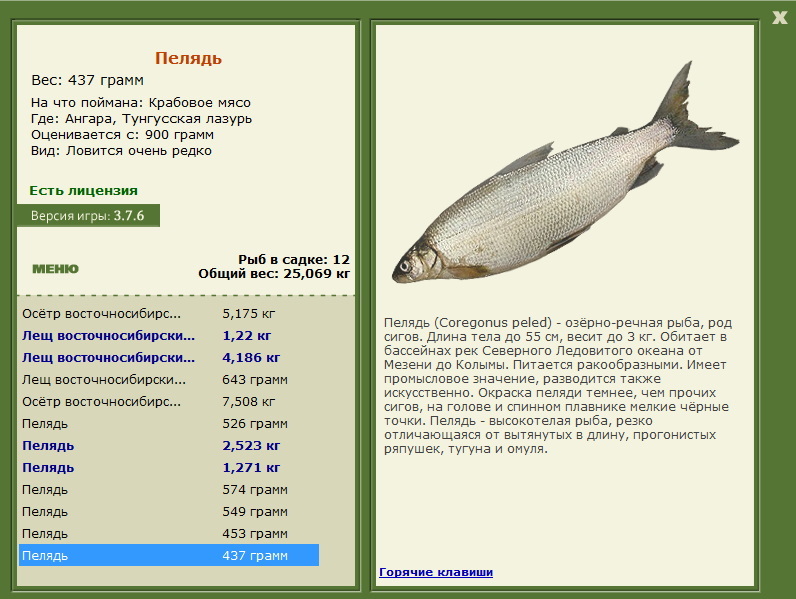 Тунгусская лазурь 