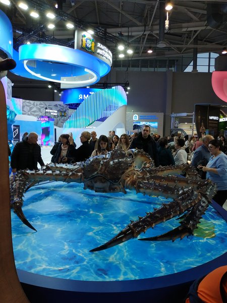  Музеи и выставки