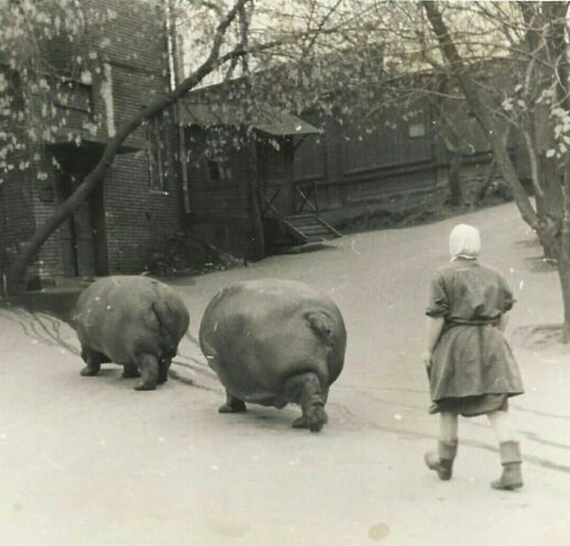  Кто угадает что это такое?