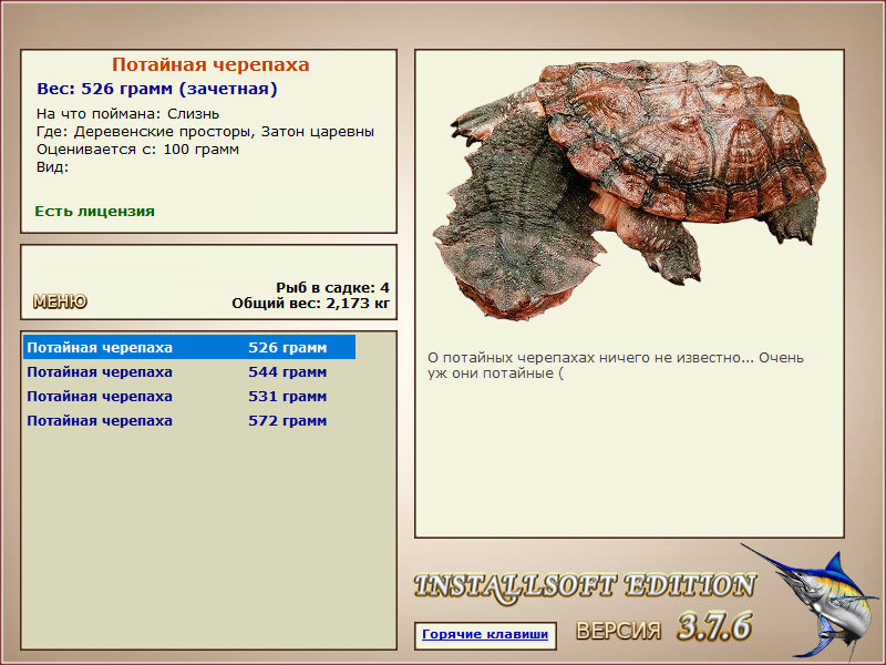 Потайная черепаха 