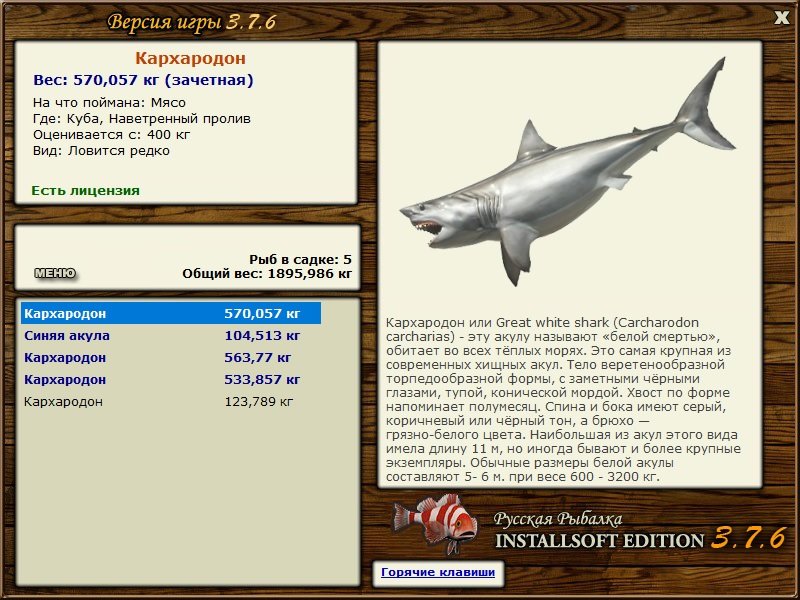 турниры • РУССКАЯ РЫБАЛКА