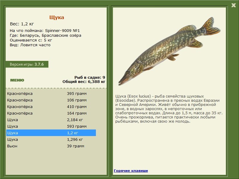 турниры • РУССКАЯ РЫБАЛКА