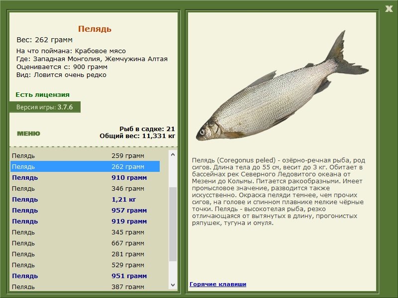 турниры • РУССКАЯ РЫБАЛКА
