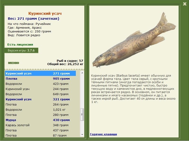турниры • РУССКАЯ РЫБАЛКА