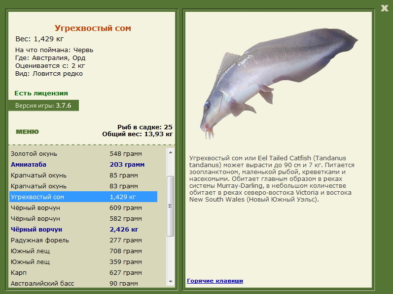 турниры • РУССКАЯ РЫБАЛКА