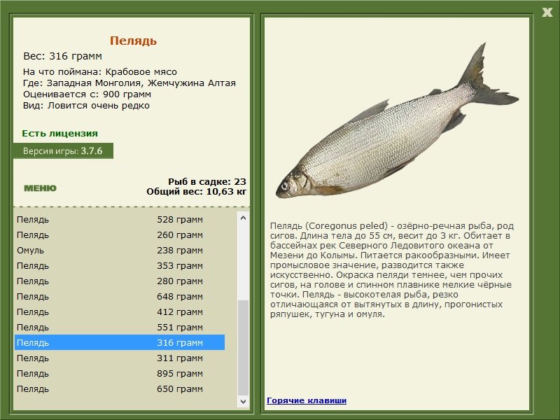 турниры • РУССКАЯ РЫБАЛКА