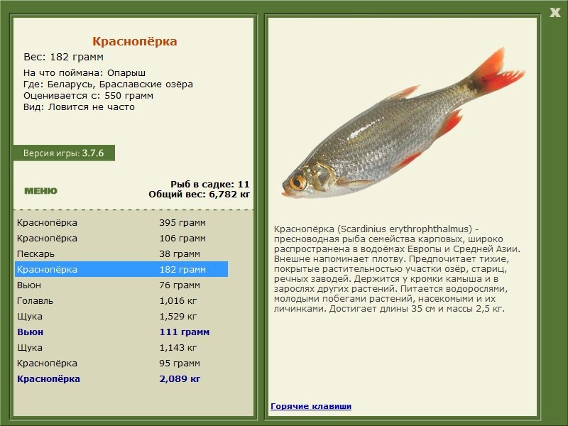 турниры • РУССКАЯ РЫБАЛКА