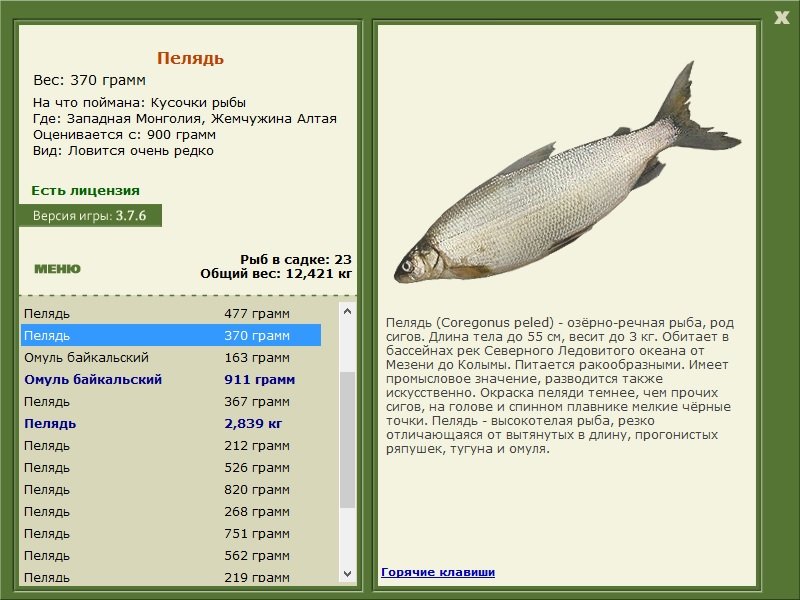 турниры • РУССКАЯ РЫБАЛКА