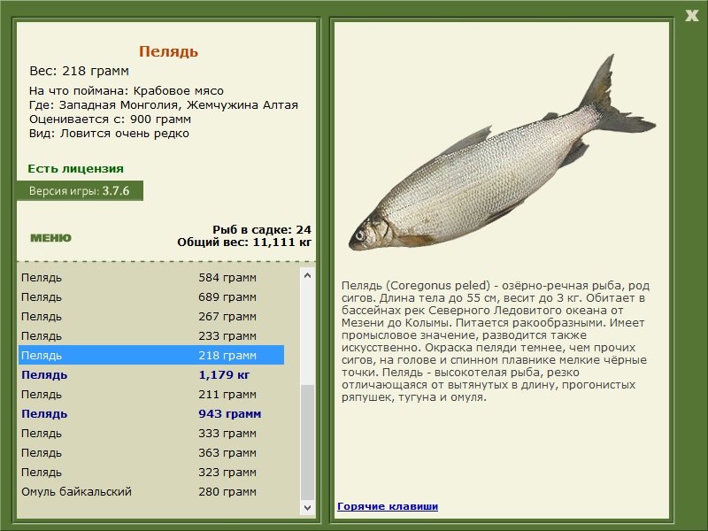 турниры • РУССКАЯ РЫБАЛКА