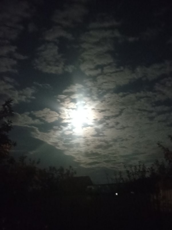  Страница 120 - Форум 