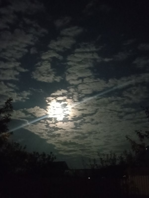  Страница 120 - Форум 