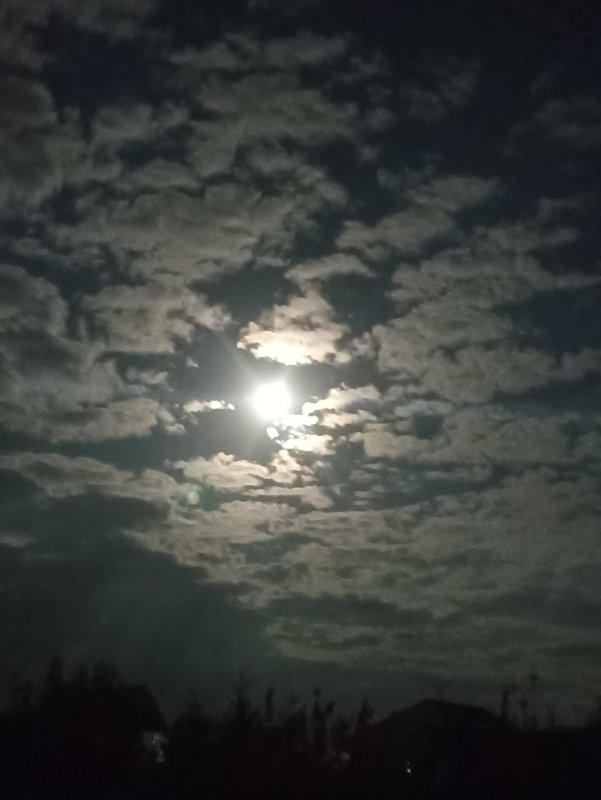  Страница 120 - Форум 