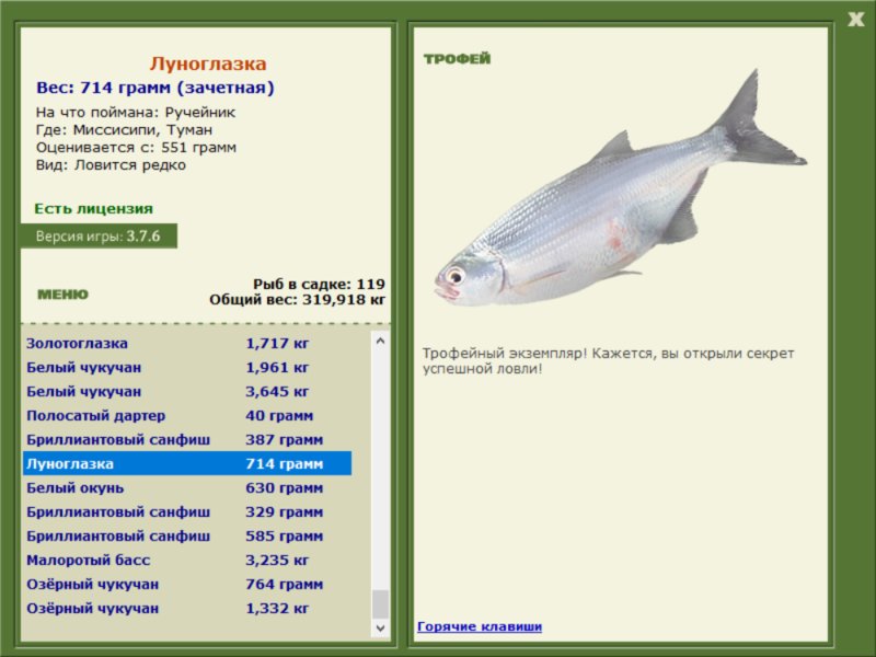 Туман 