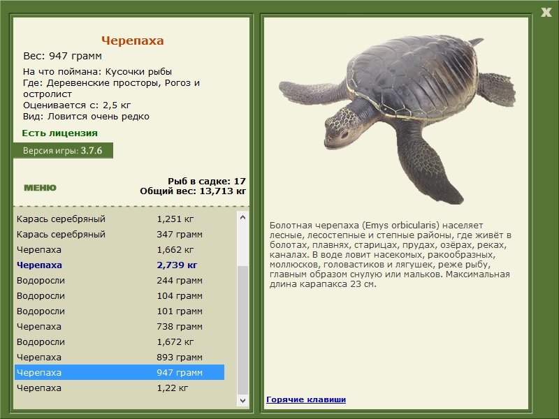 турниры • РУССКАЯ РЫБАЛКА