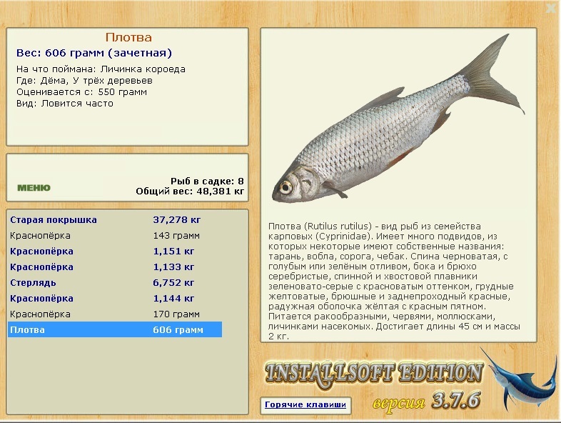 турниры • РУССКАЯ РЫБАЛКА