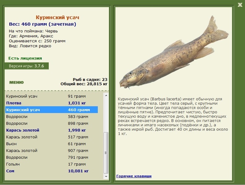 турниры • РУССКАЯ РЫБАЛКА