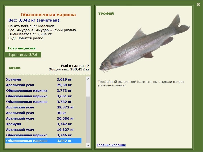 Амударьинский разлив 