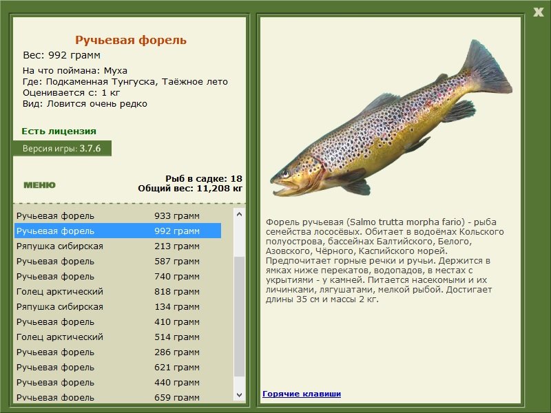 турниры • РУССКАЯ РЫБАЛКА