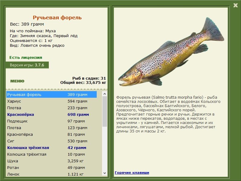 турниры • РУССКАЯ РЫБАЛКА