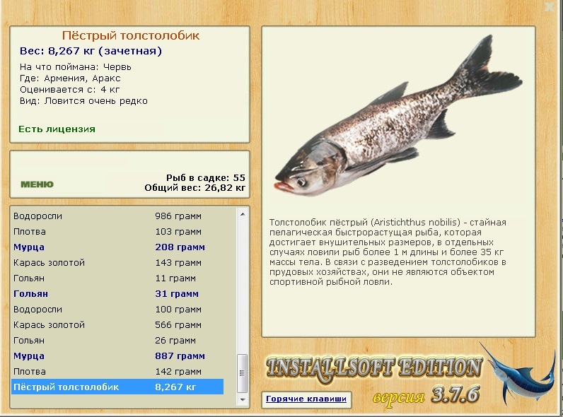 турниры • РУССКАЯ РЫБАЛКА
