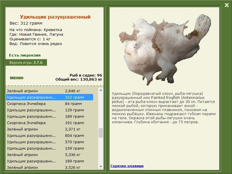 турниры • РУССКАЯ РЫБАЛКА